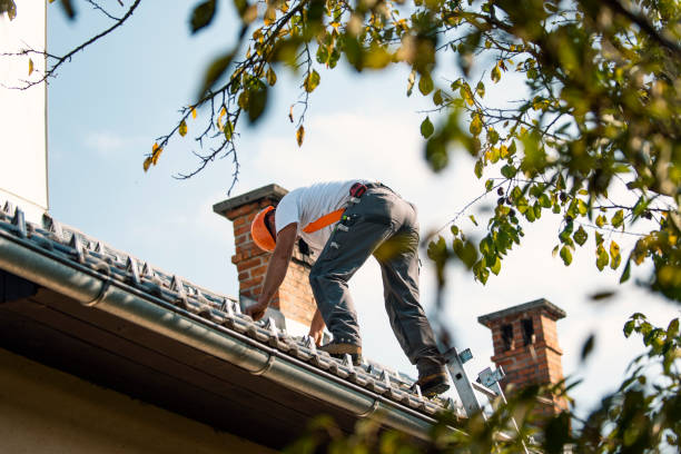 Best Slate Roofing Contractor  in Anson, TX